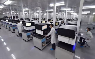 中国人很牛 当前引领世界的干细胞与免疫细胞储存及生物转化医学技术
