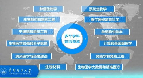 信息来源 生物医学科学与工程学院 广州国际校区人力资源与发展事务办公室